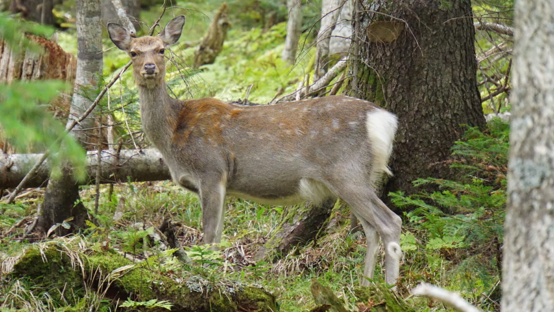 Hokkaido erFAHREN