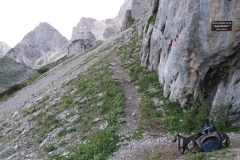 image005