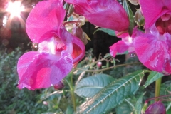 image023