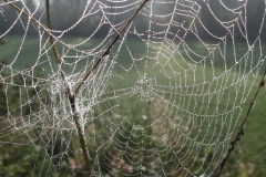 image024