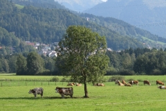 image026