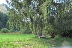 image030