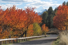 alpen italien radreise piotr nogal noxot 221 alpen italien radreise piotr nogal noxot 221