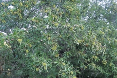 alpen italien radreise piotr nogal noxot 292 alpen italien radreise piotr nogal noxot 292