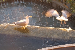 alpen italien radreise piotr nogal noxot 301 alpen italien radreise piotr nogal noxot 301