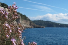 alpen italien radreise piotr nogal noxot 316 alpen italien radreise piotr nogal noxot 316