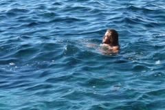 alpen italien radreise piotr nogal noxot 317 alpen italien radreise piotr nogal noxot 317