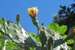 alpen italien radreise piotr nogal noxot 318 alpen italien radreise piotr nogal noxot 318