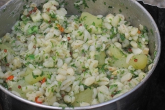 alpen italien radreise piotr nogal noxot 344 alpen italien radreise piotr nogal noxot 344