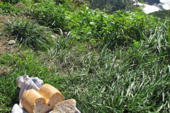 alpen italien radreise piotr nogal noxot 364 alpen italien radreise piotr nogal noxot 364