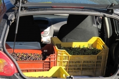 alpen italien radreise piotr nogal noxot 372 alpen italien radreise piotr nogal noxot 372