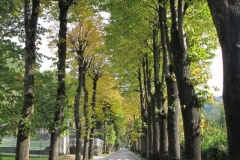 alpen italien radreise piotr nogal noxot 388