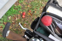 alpen italien radreise piotr nogal noxot 393