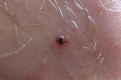 alpen italien radreise piotr nogal noxot 396