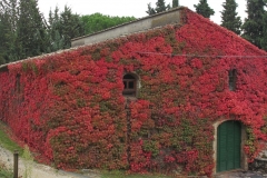 alpen italien radreise piotr nogal noxot 427 alpen italien radreise piotr nogal noxot 427