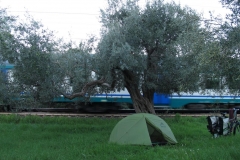 alpen italien radreise piotr nogal noxot 500 alpen italien radreise piotr nogal noxot 500