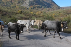 alpen italien radreise piotr nogal noxot 564 alpen italien radreise piotr nogal noxot 564