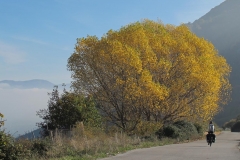 alpen italien radreise piotr nogal noxot 565 alpen italien radreise piotr nogal noxot 565
