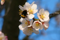 image017