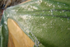 image021
