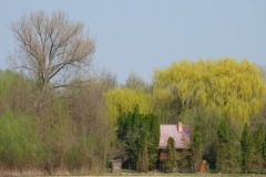 image039