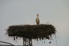 image048