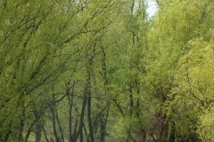 image058