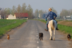 image063