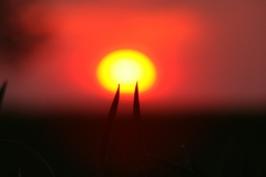 image065