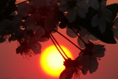 image085