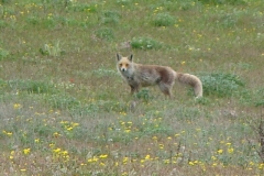 image001