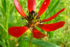 image002