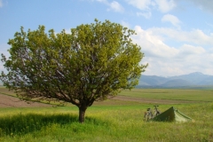 image003