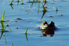 image017