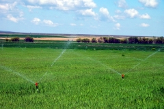 image020