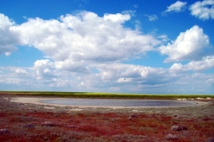 image025