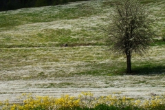image058