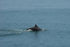 image074