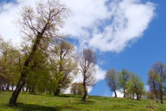 image103