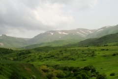 image010