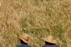 image020