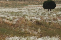 image100