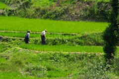 image103