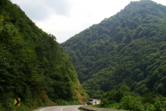 image104