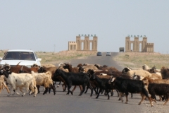 image001