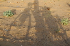 image019