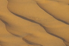image020