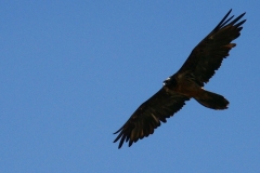 image080