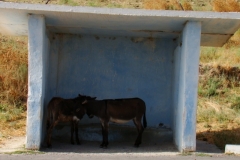 image096