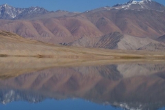 image017